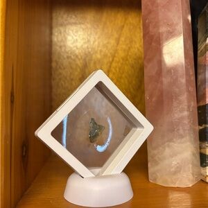 Moldavite(rare) Crystal 2/3inches with display